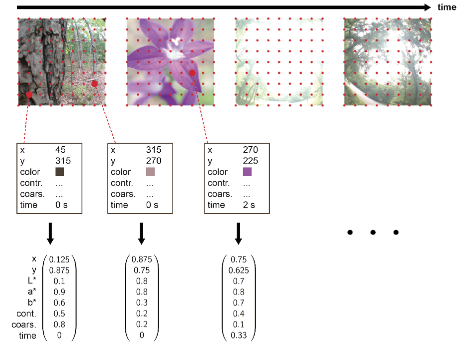 Extracting feature vectors from videos